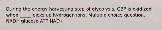 During the energy harvesting step of glycolysis, G3P is oxidized when _____ picks up hydrogen ions. Multiple choice question. NADH glucose ATP NAD+