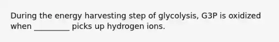 During the energy harvesting step of glycolysis, G3P is oxidized when _________ picks up hydrogen ions.