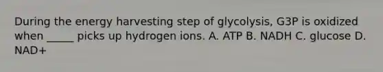 During the energy harvesting step of glycolysis, G3P is oxidized when _____ picks up hydrogen ions. A. ATP B. NADH C. glucose D. NAD+