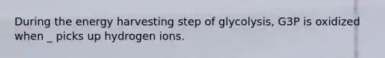 During the energy harvesting step of glycolysis, G3P is oxidized when _ picks up hydrogen ions.