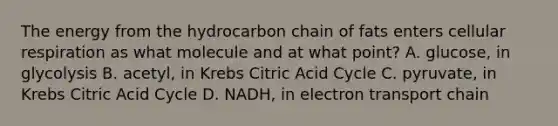 The energy from the hydrocarbon chain of fats enters cellular respiration as what molecule and at what point? A. glucose, in glycolysis B. acetyl, in Krebs Citric Acid Cycle C. pyruvate, in Krebs Citric Acid Cycle D. NADH, in electron transport chain