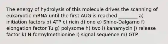 The energy of hydrolysis of this molecule drives the scanning of eukaryotic mRNA until the first AUG is reached ________ a) initiation factors b) ATP c) ricin d) one e) Shine-Dalgarno f) elongation factor Tu g) polysome h) two i) kanamycin j) release factor k) N-formylmethionine l) signal sequence m) GTP