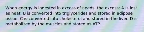 When energy is ingested in excess of needs, the excess: A is lost as heat. B is converted into triglycerides and stored in adipose tissue. C is converted into cholesterol and stored in the liver. D is metabolized by the muscles and stored as ATP.