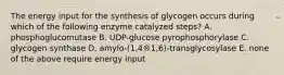 The energy input for the synthesis of glycogen occurs during which of the following enzyme catalyzed steps? A. phosphoglucomutase B. UDP-glucose pyrophosphorylase C. glycogen synthase D. amylo-(1,4®1,6)-transglycosylase E. none of the above require energy input