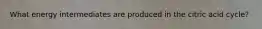 What energy intermediates are produced in the citric acid cycle?