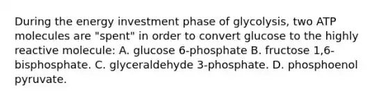 During the energy investment phase of glycolysis, two ATP molecules are "spent" in order to convert glucose to the highly reactive molecule: A. glucose 6-phosphate B. fructose 1,6-bisphosphate. C. glyceraldehyde 3-phosphate. D. phosphoenol pyruvate.