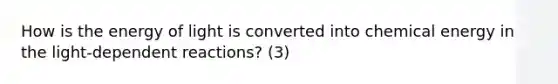 How is the energy of light is converted into chemical energy in the light-dependent reactions? (3)