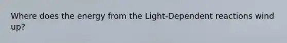 Where does the energy from the Light-Dependent reactions wind up?