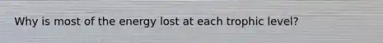 Why is most of the energy lost at each trophic level?