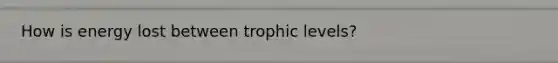 How is energy lost between trophic levels?