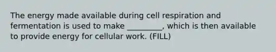 The energy made available during cell respiration and fermentation is used to make _________, which is then available to provide energy for cellular work. (FILL)