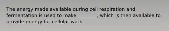 The energy made available during cell respiration and fermentation is used to make ________, which is then available to provide energy for cellular work.