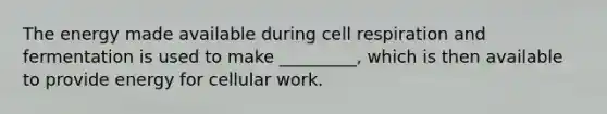 The energy made available during cell respiration and fermentation is used to make _________, which is then available to provide energy for cellular work.