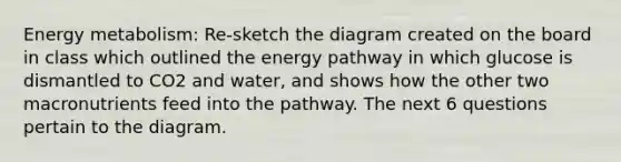 Energy metabolism: Re-sketch the diagram created on the board in class which outlined the energy pathway in which glucose is dismantled to CO2 and water, and shows how the other two macronutrients feed into the pathway. The next 6 questions pertain to the diagram.