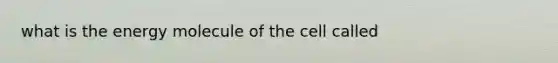 what is the energy molecule of the cell called