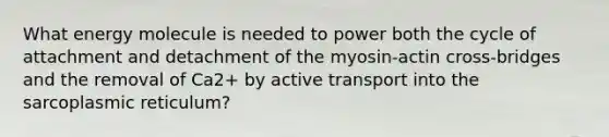 What energy molecule is needed to power both the cycle of attachment and detachment of the myosin-actin cross-bridges and the removal of Ca2+ by active transport into the sarcoplasmic reticulum?