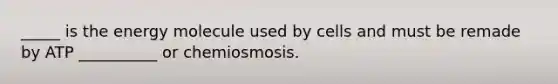 _____ is the energy molecule used by cells and must be remade by ATP __________ or chemiosmosis.