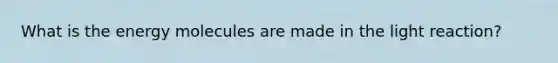 What is the energy molecules are made in the light reaction?