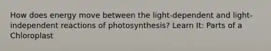 How does energy move between the light-dependent and light-independent reactions of photosynthesis? Learn It: Parts of a Chloroplast