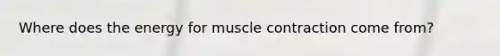 Where does the energy for muscle contraction come from?