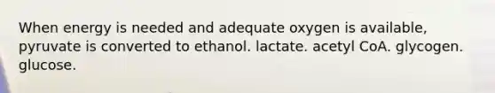 When energy is needed and adequate oxygen is available, pyruvate is converted to ethanol. lactate. acetyl CoA. glycogen. glucose.