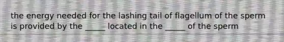 the energy needed for the lashing tail of flagellum of the sperm is provided by the _____ located in the _____ of the sperm