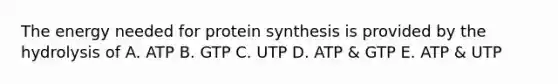 The energy needed for protein synthesis is provided by the hydrolysis of A. ATP B. GTP C. UTP D. ATP & GTP E. ATP & UTP