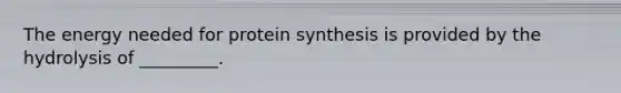 The energy needed for protein synthesis is provided by the hydrolysis of _________.