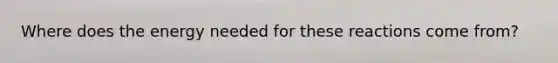 Where does the energy needed for these reactions come from?