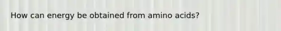 How can energy be obtained from amino acids?