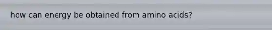 how can energy be obtained from amino acids?