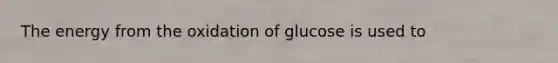 The energy from the oxidation of glucose is used to