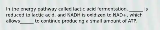 In the energy pathway called lactic acid fermentation, ______ is reduced to lactic acid, and NADH is oxidized to NAD+, which allows______ to continue producing a small amount of ATP.