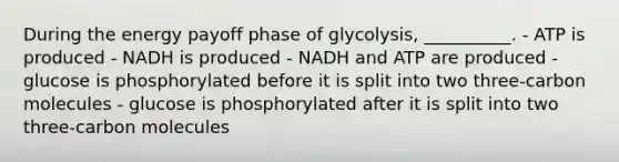 During the energy payoff phase of glycolysis, __________. - ATP is produced - NADH is produced - NADH and ATP are produced - glucose is phosphorylated before it is split into two three-carbon molecules - glucose is phosphorylated after it is split into two three-carbon molecules