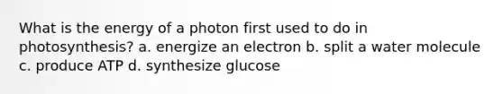 What is the energy of a photon first used to do in photosynthesis? a. energize an electron b. split a water molecule c. produce ATP d. synthesize glucose