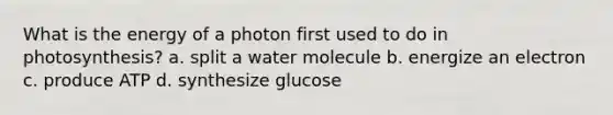 What is the energy of a photon first used to do in photosynthesis? a. split a water molecule b. energize an electron c. produce ATP d. synthesize glucose