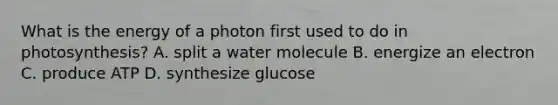 What is the energy of a photon first used to do in photosynthesis? A. split a water molecule B. energize an electron C. produce ATP D. synthesize glucose