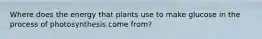 Where does the energy that plants use to make glucose in the process of photosynthesis come from?