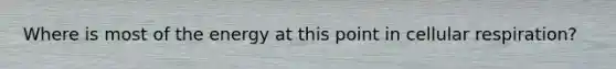 Where is most of the energy at this point in cellular respiration?