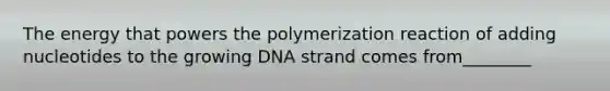 The energy that powers the polymerization reaction of adding nucleotides to the growing DNA strand comes from________