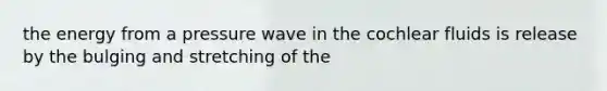 the energy from a pressure wave in the cochlear fluids is release by the bulging and stretching of the