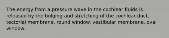 The energy from a pressure wave in the cochlear fluids is released by the bulging and stretching of the cochlear duct. tectorial membrane. round window. vestibular membrane. oval window.