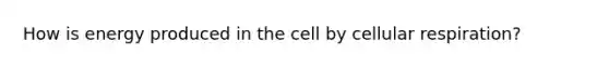 How is energy produced in the cell by cellular respiration?