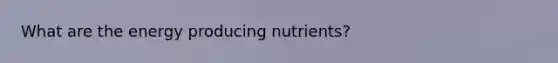 What are the energy producing nutrients?