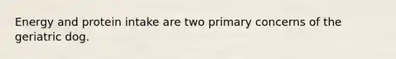 Energy and protein intake are two primary concerns of the geriatric dog.