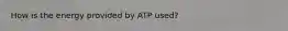 How is the energy provided by ATP used?