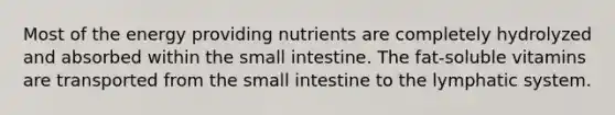 Most of the energy providing nutrients are completely hydrolyzed and absorbed within the small intestine. The fat-soluble vitamins are transported from the small intestine to the lymphatic system.