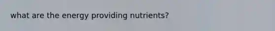 what are the energy providing nutrients?