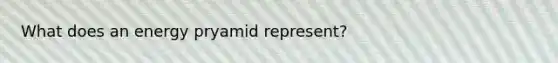 What does an energy pryamid represent?