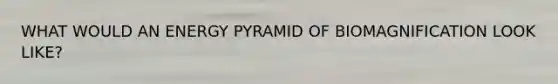 WHAT WOULD AN ENERGY PYRAMID OF BIOMAGNIFICATION LOOK LIKE?